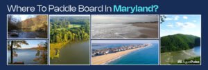 Where To Paddle Board In Maryland?