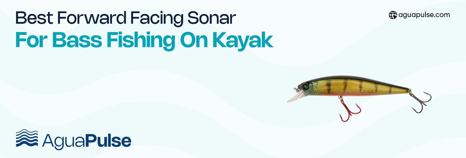 Best Forward Facing Sonar For Bass Fishing on Kayak