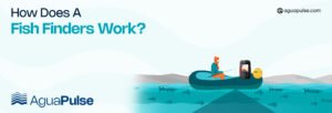 How Does a Fish Finder Work