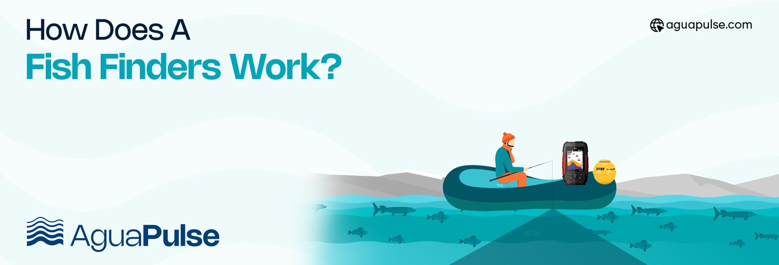 How Does a Fish Finder Work