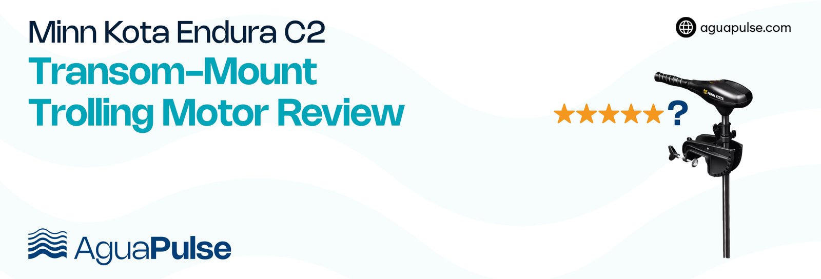 Minn Kota Endura C2 Transom-Mount Trolling Motor Review