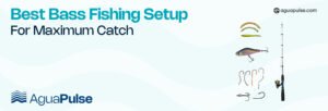 Best Bass Fishing Setup For Maximum Catch