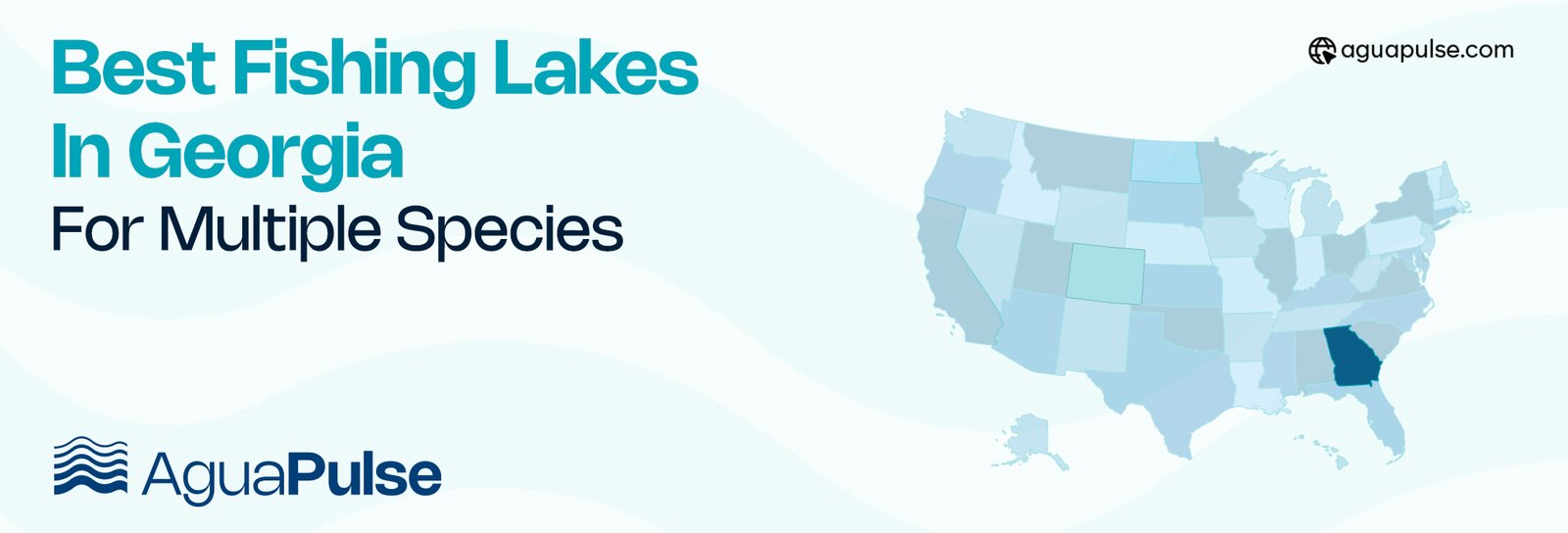 Best Fishing Lakes In Georgia For Multiple Species