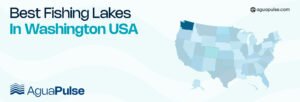 Best Fishing Lakes In Washington USA