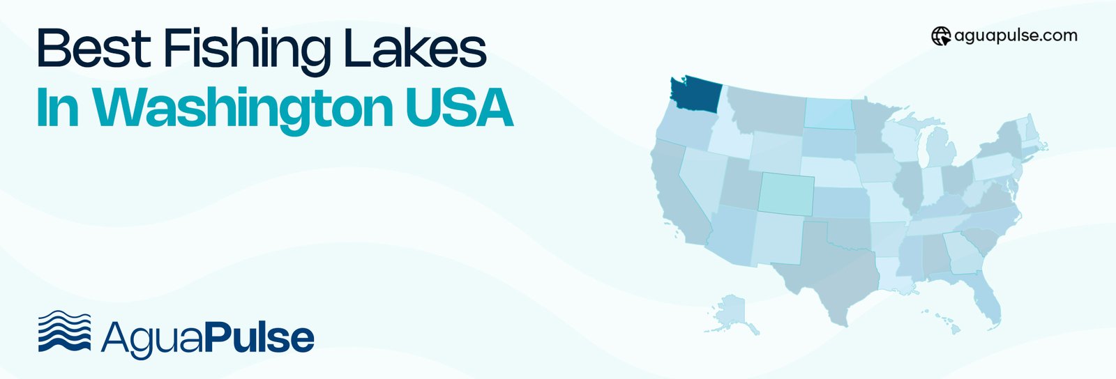 Best Fishing Lakes In Washington USA