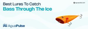 Best Lures to Catch Bass Through the Ice (1)