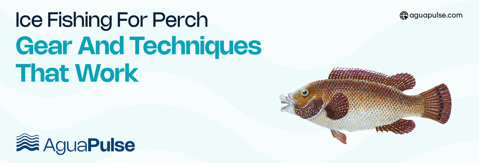 Ice Fishing for Perch Gear and Techniques That Work