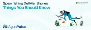 Spearfishing Del Mar Shores Things You Should Know
