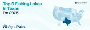Top Fishing Lakes In Texas For 2025
