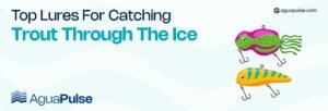 Best Trout Lures For Ice Fishing