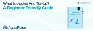 What is jigging and tip-up A Beginner Friendly Guide