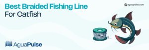 best braided fishing line for catfish