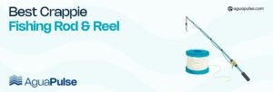 best crappie fishing rod and reel (1)