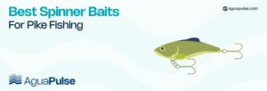 Best Spinner Baits For Pike Fishing