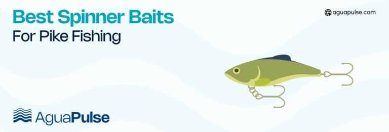Best Spinner Baits For Pike Fishing
