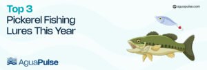 Top 3 Pickerel Fishing Lures This Year