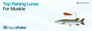 Top Fishing Lures for Muskie