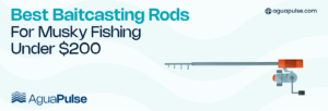Best Baitcasting Rods For Musky Fishing Under $200