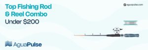 Top Fishing Rod and Reel Combo under $200
