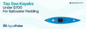 Top Sea Kayaks Under $700 For Saltwater Paddling (31-01-2025)